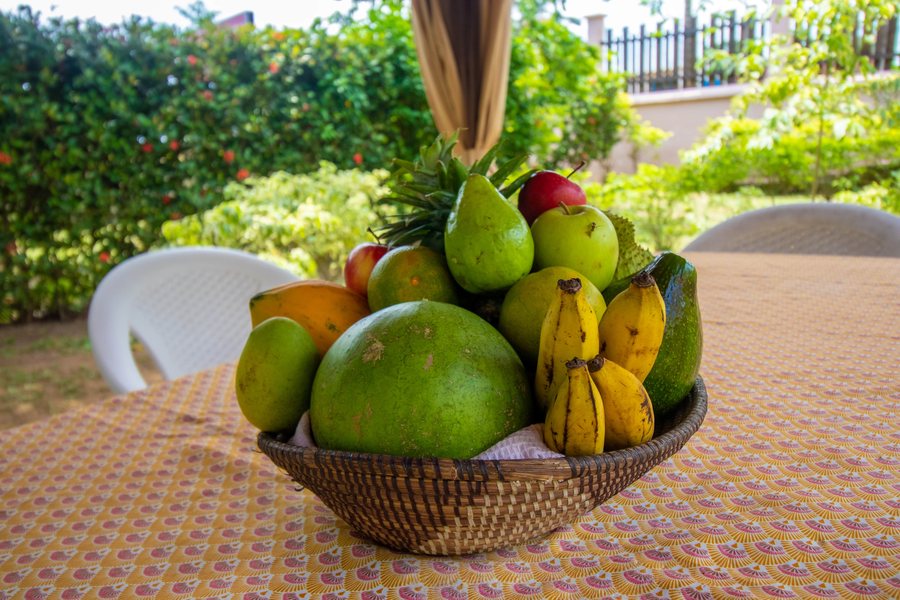 Corbeille de fruits du jardin