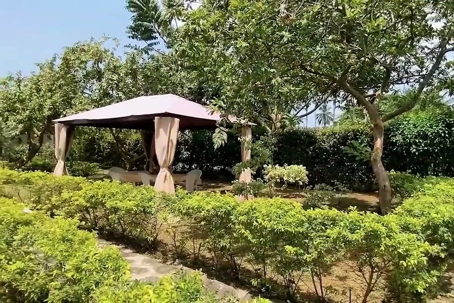 Le jardin et sa paillote