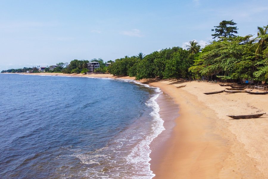 La plage et les cocotiers